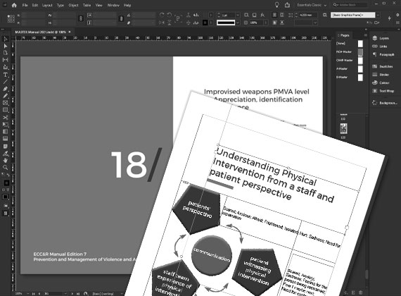 Adobe InDesign screen shot training manual grayscale black and white
