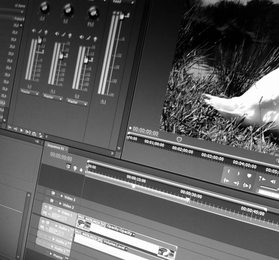 Adobe Premiere Pro screen video editing rendering grayscale black and white